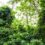 Rainforests and Torn ACL’s Provide Insight into Effective Selling