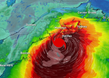 hurricane paths