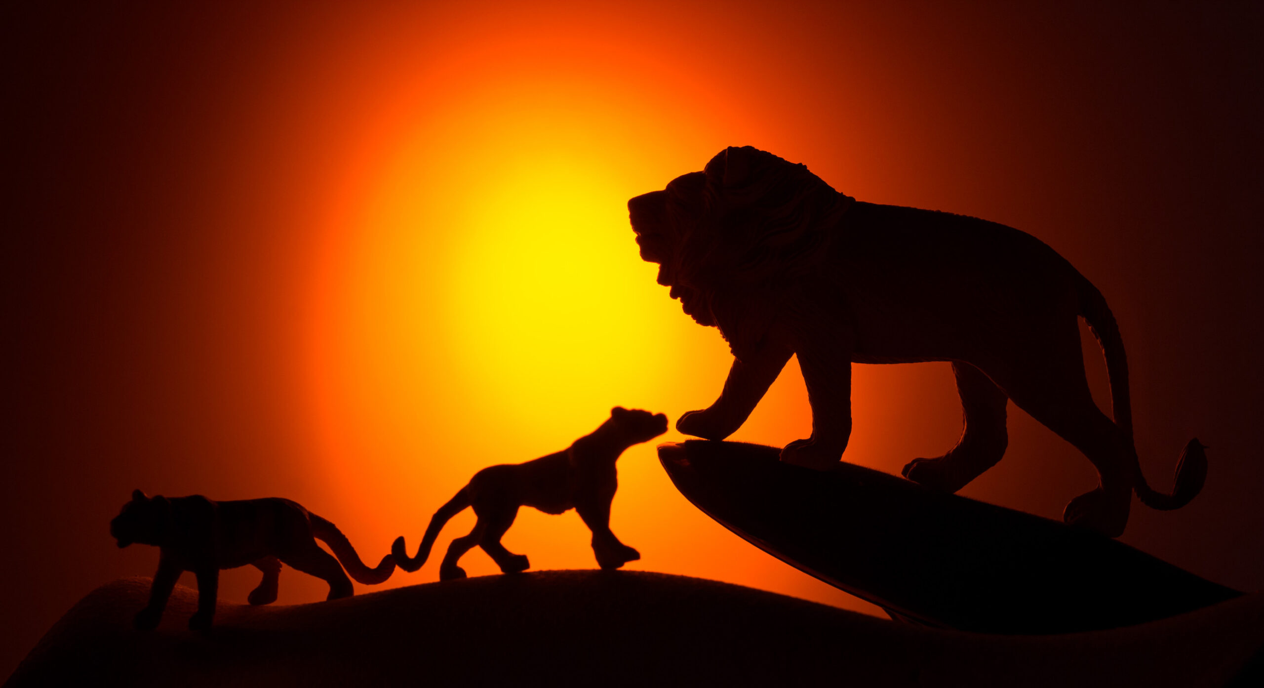 lion king