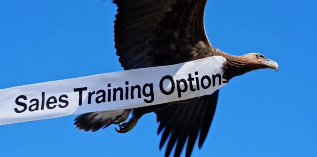 Cartoon vulture flying like an advertising blimp with a large banner across its side reading "Sales Training Options"