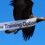 Vultures or the Trusted Name in Sales Training?